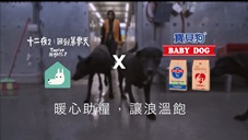 寶貝狗 - 《十二夜2：回到第零天》專屬預告片